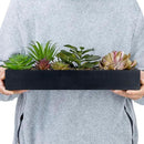 MyGift Artificial Assorted Succulent Arrangement in Rectangular Black Wood Planter Box, Fake Plant Decor by CozyNest Decor