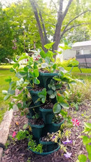 Mr. Stacky 1305-HG 5-Tier Stackable Strawberry, Herb, Flower, & Vegetable Planter - Vertical Gardening Indoor / Outdoor Stacking Garden Pots Hunter Green, 22.5 Quarts by GreenHaven Gardens