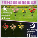 3Pack Outdoor Solar Garden Decor Lights, Waterproof Solar Powered Hydrangea Lotus Flower Lights Bright Up to 12 Hrs,Led Flowers for Yard Patio Lawn Decorative (Solar Flowers Style 1) by GreenHaven Gardens