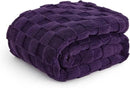 Bedsure GentleSoft Purple Throw Blanket for Couch - Super Soft Cozy Blankets Gifts for Women Men Girls, Cute Small Fleece Throws for Bedroom Home Decor, 50x70 Inches by CozyNest Decor