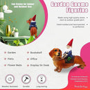 Funny Guy Mugs Gnome and a Dachshund Garden Statue- Indoor/Outdoor Garden Dog Gnome Sculpture for Patio, Yard or Lawn by GreenHaven Gardens