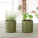 D'vine Dev Set of 2 Plants Pots, 3.5 Inch Ceramic Planter Pot for Plants with Drainage Hole and Saucer, Olive, 94-V-A-J by GreenHaven Gardens