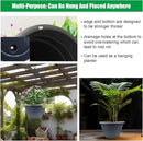 Plant Pots Set of 5, 10 Inch Round Flower Pots, Thickened Plant Planters with Drainage Holes, Garden Pots for Indoor Outdoor (Dark Gray) by GreenHaven Gardens