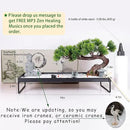 BangBangDa Japanese Meditation-Decoration - Home Office Bonsai Decor for Table Desk - Buddha Rock Sand Tabletop Decor Gifts for Women Man Friends by GreenHaven Gardens