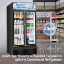 Tylza Commercial Refrigerator, Double Glass Door Display Beverage Fridge, 28.1 Cu Ft Upright Beverage Cooler Merchandiser with Replaceable Advertising Light Board, Rebound Door, Fast Cooling, Black by CozyNest Decor