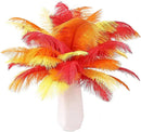 THARAHT Red Orange Yellow Ostrich Feathers 12pcs Natural Bulk 8-10Inch 20cm-25cm for Crafts Wedding Party Centerpieces Halloween and Home Decoration Feathers by CozyNest Decor