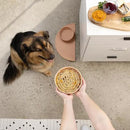 The Slowdown Bowl Silicone Slow Feeder for Dogs & Puppies, Slow Eating, Modern Lick Mat Design, Reduces Gulping, Fits 2.5 Cups 9.5” Across x 1.5” Tall, Mealtime Challenge, Large-Spruce by CozyNest Decor