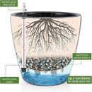 Dexceder 15x14 Self Watering Planter with Wheels Indoor Outdoor, Inner Pot Design, Thickened Large Floor Standing Flower Plant Pot with Water Level Indicator (Stone Matte) by GreenHaven Gardens