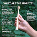 PRIMALS Boar Bristle & Bamboo Toothbrush (4-Pack) - Premium Boar Bristles - Fully Biodegradable - Plastic & Nylon Free - Quick Dry Design by CozyNest Decor