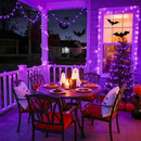 JMEXSUSS Connectable 100 LED Purple Halloween Lights Indoor, 8 Modes Plug in Purple Christmas String Lights Clear Wire, 33ft Christmas Tree Light Outdoor for Halloween Tree, Garden, Bedroom by GreenHaven Gardens