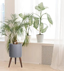 D'vine Dev 12 Inch Planter Pot with Stand, Mid-Century Tall Plant Pot with Legs for Indoor Plants, Large, Grey, 88-O-C-3 by GreenHaven Gardens