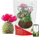 Professional Cactus Soil | Large 2.2 Quarts Ready to Use for Cactus Plants | Peat Moss, Coco Coir, Perlite, Dolomite | Made in USA by GreenHaven Gardens