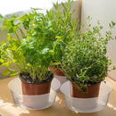 Hoolerry Plastic Plant Saucer Clear Deep Drip Tray Thickened Clear Plant Saucers Trays for Pots Deep Drip Trays for Home Garden Indoor and Outdoor Potted(15 Pcs,12 Inch) by GreenHaven Gardens