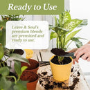 Professional Lucky Bamboo Soil | Large 2.2 Quarts Ready to Use for Lucky Bamboo Plants | Peat Moss, Coco Coir, Perlite, Dolomite | Made in USA by GreenHaven Gardens
