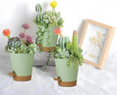 12 Pack 4 Inch Self Watering Plant Pots with Drainage and Saucers，Plastic Flower Pots for Indoor and Outdoor Plants, Nursery Planters for Houseplants and Herbs Green Brown, 4 inch 12pcs by GreenHaven Gardens