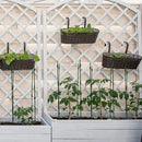 Gardzen Multi-use Tomato Cage Plants Support, Trellis Climbing Cage Stand for Pepper Eggplant Tomato Flowers by GreenHaven Gardens