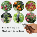 Razor Sharp Pruning Shears for Gardening, Garden Shears Carbon Steel Blade, Precision garden scissors Walnut Wood handle, 6.8” Garden Snips for Trimming Fruits, Vegetables, Flowers, Buds, Bonsai by GreenHaven Gardens