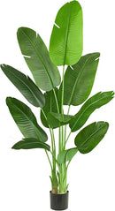 Faux Bird of Paradise Silk Artificial Plant Faux Banana Leaf Tree for Home Decor Indoor Floor Plant with 11 Trunks (1, Black Planter, 6.6 FT) by CozyNest Decor