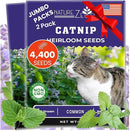 NatureZ Edge Catnip Seeds for Planting, 2.6 Grams, 4400+ Herb Seeds, Indoor or Outdoor Growing, Your Cat Will Love Them, Non-GMO by GreenHaven Gardens