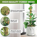 DUSPRO Natural Stackable Moss Pole for Plants Monstera Potted Plant Stakes for Indoor Plants Extendable Plant Pole Moss Sticks for Plants Climbing Vine Supporting Monstera Trellis 4Pcs 22'' by GreenHaven Gardens