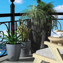 QCQHDU Plant Pots Set of 2 Pack,10 Inch Plant Pot for Indoor and Outdoor Plants with Drainage Hole,Flower Pots Modern Decorative Planter for Garden Plants (Dark Grey) by GreenHaven Gardens