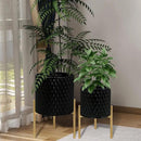 ARNIS Plants Pots with Stand, Set of 2 Planters, Unique Mid Century Decorative Metal Flower Pots with Drainage, 8.25 & 10.5 Inch, Black by CozyNest Decor