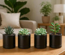 D'vine Dev Set of 4 Small Ceramic Plant Pots, 3.5 Inch Succulent Planter Pot for Plants with Drainage Hole and Saucer, Black, 94-X-A-2 by GreenHaven Gardens