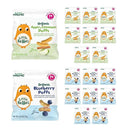 Little Bellies Organic Puffs Variety Pack, Blueberry & Apple and Cinnamon (Pack of 18) by TinyTreasures Baby Boutique