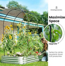 KING BIRD Raised Garden Bed with Arched Trellis Galvanized Planter Garden Box Outdoor for Gardening, Climbing Vegetables, Flowers 7.87x3.94x0.98 Ft, Silver by GreenHaven Gardens