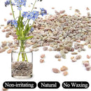 20lbs Peach Pebbles for Plants, 3/8inch Small Rocks for Succulent Cactus Plants, Natural Polished Pebbles, River Rocks for Plants, Vases, Garden by GreenHaven Gardens