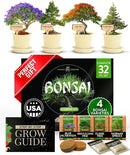 HOME GROWN Bonsai Tree Kit, Grow Your Own: Premium 4 Bonsai Trees Starter Kit | Unique Japanese Gardening Gift for Moms, Women, Men, Beginners & Gardeners | Creative Crafts for Adults BK1-2nd-MF by GreenHaven Gardens