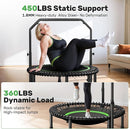 BCAN 40"/48" Mini Rebounder Trampoline for Adults with Bar, 450/550LBS Fitness Trampoline with Bungees, Adjustable Handle, Stable & Quiet, Indoor Outdoor, Whole-Body Workout & Relaxation at Home by TinyTreasures Baby Boutique