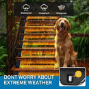 SOLPEX Solar Step Lights for Outside, 24 LEDs Solar Stair Lights Outdoor Waterproof Decor for Stair, Porch, Step, Deck, Fence, Front Door, Balcony, Patio, Wall, Yard, Garden(6 Pack, Warm White) by GreenHaven Gardens