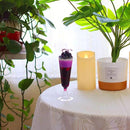 CANDLE CHOICE Waterproof Outdoor Battery Operated Flameless Candles with Timer Flickering Plastic Resin Electric LED Pillar Lights for Lantern Patio Garden Wedding Party Decorations 3x6 Inches 2 Pack by GreenHaven Gardens