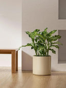 LE TAUCI 12 Inch Pots for Plants, Ceramic Large Plant Pot for Indoor Plants, Mid-Century Modern Flower Planter Pots with Drainage Hole and Removable Plug, Round Planter Pot, Reactive Glaze Cloud Cream by CozyNest Decor