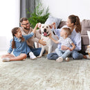 4x6 Area Rugs for Living Room Rug Washable: Modern Large Rug for Dining Room Bedroom Carpet Non Slip Low Pile 4 by 6 Indoor Abstract Nursery Home Office Beige by TinyTreasures Baby Boutique