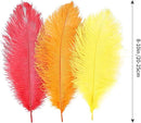 THARAHT Red Orange Yellow Ostrich Feathers 12pcs Natural Bulk 10-12Inch 25cm-30cm for Crafts Wedding Party Centerpieces Halloween and Home Decoration Feathers by CozyNest Decor
