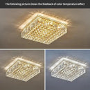 12-Lights Gold Crystal Flush Mount Ceiling Light Fixtures,Elegant Crystal Chandelier Pendant Ceiling Lamp for Bedroom,Living Room,Dining Room,Hallway H5.9 x W20 x L20 (Bulb Not Included) Square by CozyNest Decor