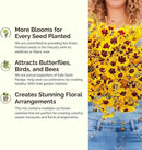 Eden Brothers Orange You Glad Flower Mixed Seeds for Planting, 1/4 lb, 120,000+ Seeds with Dahlia, Double Strawflower | Attracts Pollinators, Plant in Spring or Fall, Zones 3, 4, 5, 6, 7, 8, 9, 10 by GreenHaven Gardens