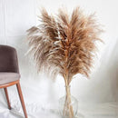 40" inch 10 Stems Pampas Grass Decor Tall, Pampas Grass Bouquet, Natural Dried Flowers for Wedding, Natural Home Decor, Wall Grass, Glam Decor by CozyNest Decor