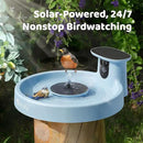 Birdfy Smart Bird Bath with Camera Solar Powered & Fountain, Dual-Lens Camera for Wildbird Watching, Auto Capture Bird Videos & Motion Detection - AI Lifetime Version by GreenHaven Gardens