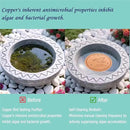 3Pack Bird Bath Copper Purification Disk | 0.6mm Reinforced 99.9% Pure Copper | Universal Fit for Outdoor Birdbaths(Birdbath Copper 3 Pack) by GreenHaven Gardens