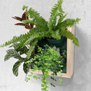 Vertical Wall Planter, 4 Pots Self Watering Living Planters Indoor, Wooden Frame Planter Wall Decoration Home Office (No Screw) by CozyNest Decor