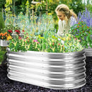 17" Tall Outdoor Garden Raised Garden Bed Kits, 4ft X 2ft Oval,0.8MM Thick Metal Raised Planter Bed/Ground Planter Box for Variety of Flowers,Herbs,Vegetables (Silver, 48X24X16.5 Inches) by GreenHaven Gardens