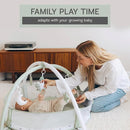 6-in-1 XL Play Mat & Play Gym, Baby Gym, Baby Activity Gym, Sensory Exploration and Motor Skill Development Toys (Sage) by TinyTreasures Baby Boutique