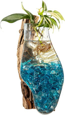 Cape Craftsmen Wall Mounted Molten Glass Hanging Terrarium on Driftwood, Indoor Wall Planter Vase on Wood, Propagation Station for Hydroponics Plants, Succulent Pot by GreenHaven Gardens