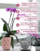 Whispering Winds Ceramic 5 x 6 Inch Orchid Pot with Holes & Saucer for Aeration and Drainage - Decorative Orchid Pots for Repotting, Prevent Over Watering & Root Rot (Cavern Pink) by GreenHaven Gardens