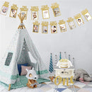 First Birthday Photo Banner Monthly Milestone Photograph Bunting Garland with First Birthday Cake Topper High Chair Banner 1st Birth Decorations by TinyTreasures Baby Boutique