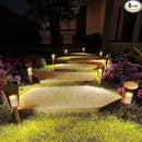 Solar Lights Outdoor Pathway 8 Pack, Solar Pathway Lights Outdoor Auto On/Off Waterproof Garden Landscape Lighting for Path, Yard, Walkway, Driveway, Lawn, Patio, Outside Decor, Warm White by CozyNest Decor