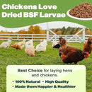 20LB Dried Black Soldier Fly Larvae, 86X Calcium Than Dried Mealworms, High Protein Non-GMO Organic Chicken Feed by GreenHaven Gardens